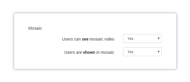 Video mosaic settings Choose whether the user's mosaic permissions are on or off accordingly