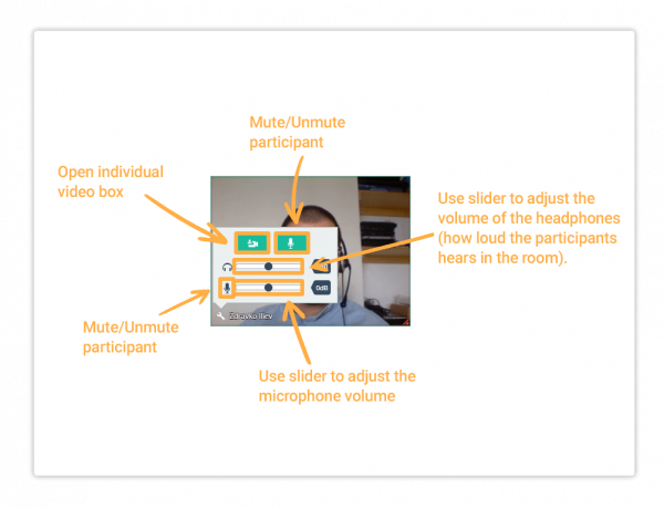 Virtual Classroom functional controls Access quick controls
