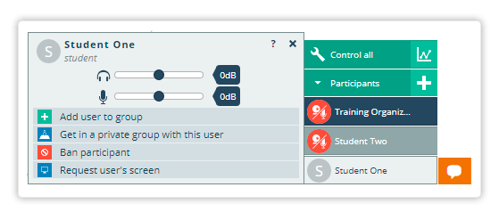 You can add participants to groups from the personal controls Personal Controls for each student