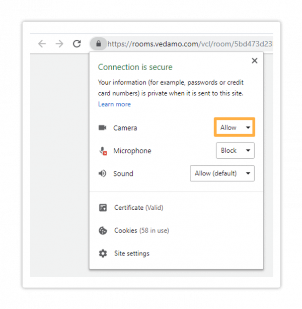 Vedamo web site camera permissions