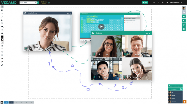 Screenshot of web-conferencig tool in the context of the different types of learners in the virtual classroom