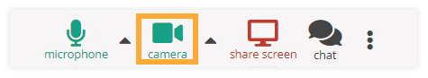 Virtual Classroom Functional Windows: Camera button