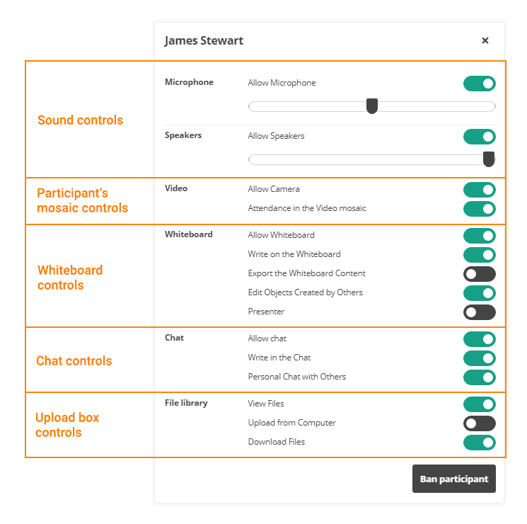 Participant Controls in the Virtual Classroom: The controls could be divided into different subgroups based on their function