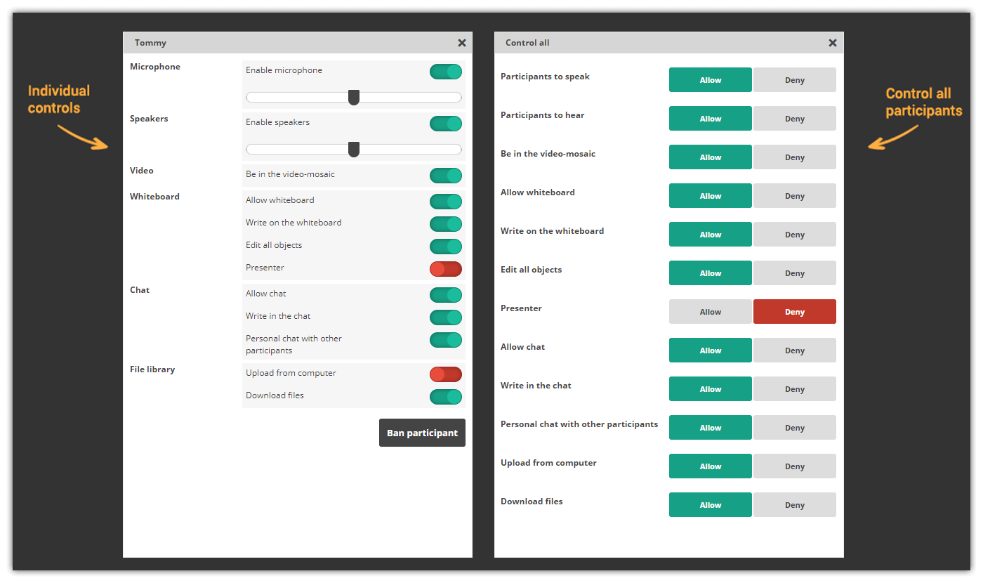 Participant controls in the Virtual Classroom: Individual and control all participants controls Participant controls in the Virtual Classroom: Individual and control all participants controls