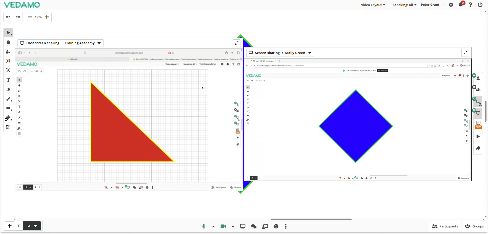 Virtual Classroom Functional Windows: Example of the Double Screen Share option