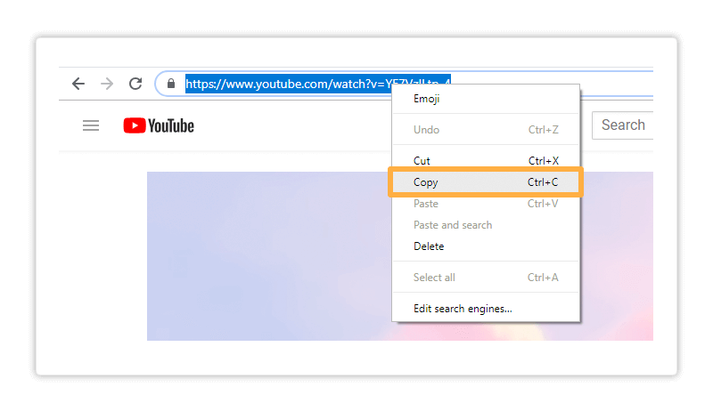 Media Player in the Virtual Classroom: All you need to do is copy the video link and paste it in the media player