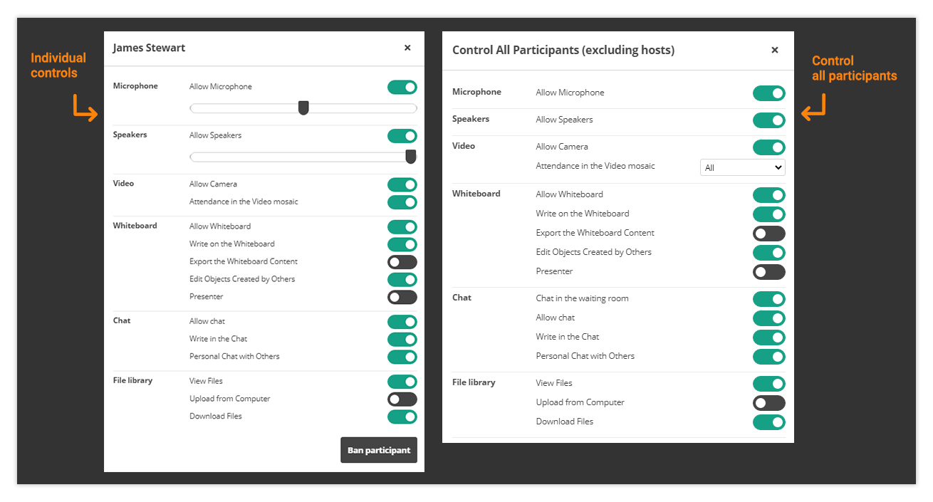 Participant controls in the Virtual Classroom: Individual and control all participants controls