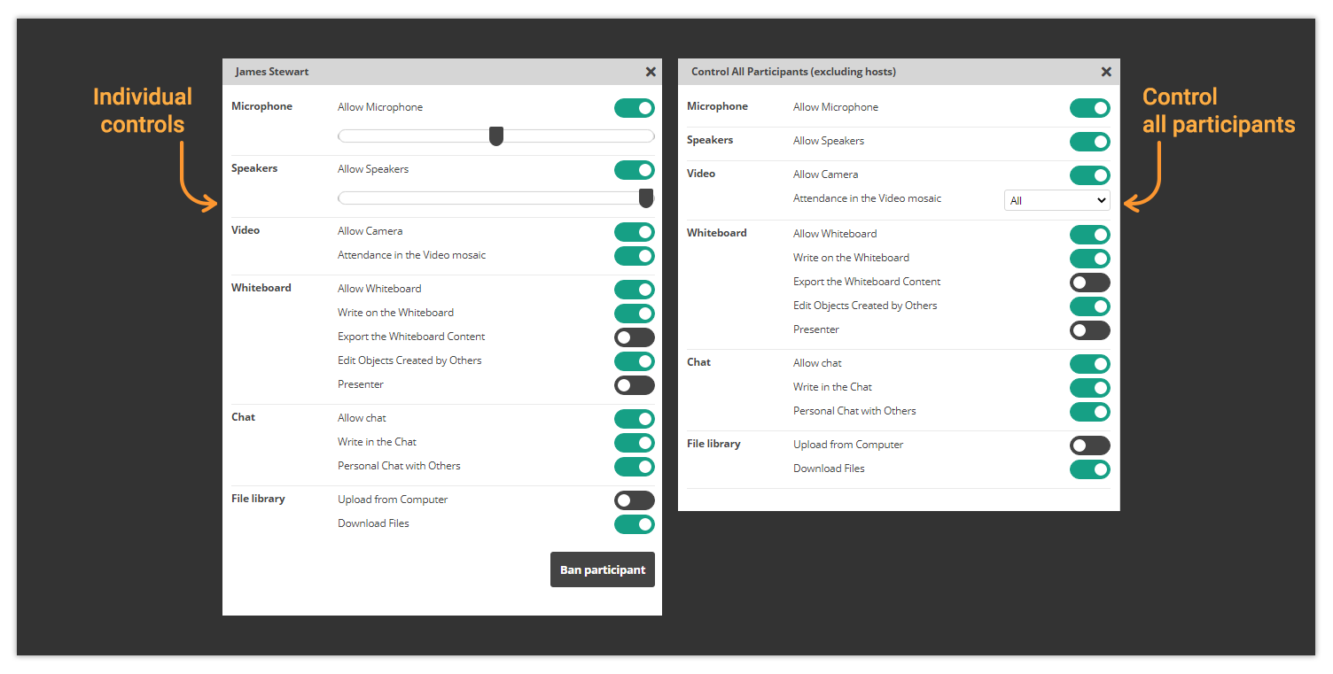 Participant controls in the Virtual Classroom: Individual and control all participants controls Participant controls in the Virtual Classroom: Individual and control all participants controls