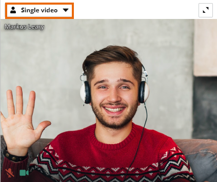 Individual video and Screen Share in the Virtual Classroom: Individual Video in Groups