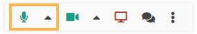 Virtual Classroom Functional Windows: Microphone button