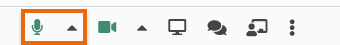 Virtual Classroom Functional Windows: Microphone button