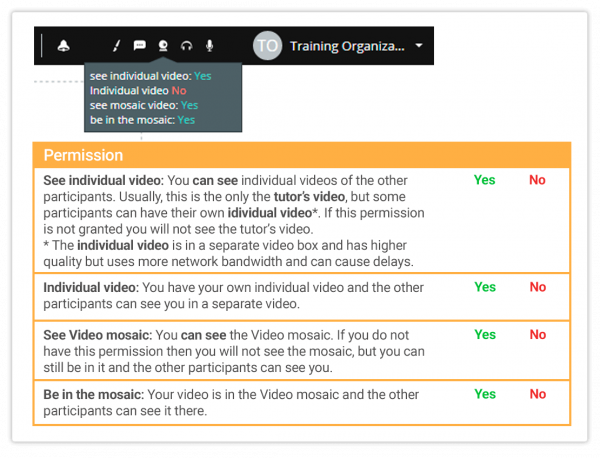 Notifications and Permissions in the Virtual Classroom Video Permissions icon in the Virtual Classroom