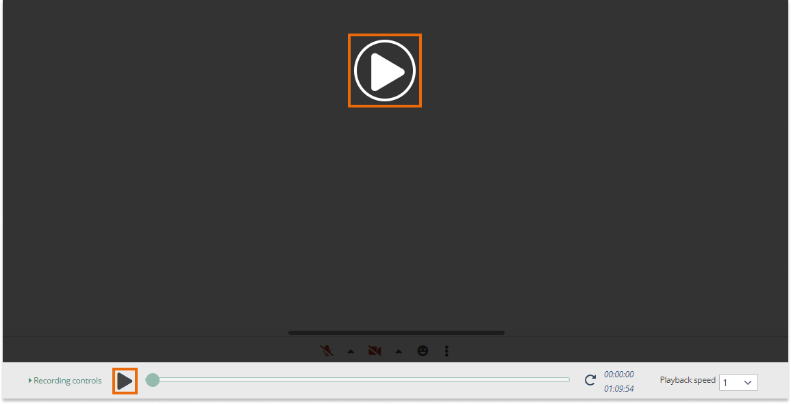 Interactive recordings: Pressing the Play button will initiate the playback of the session
