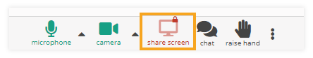 Participant Controls in the Virtual Classroom: Screen Share Not Allowed Participant Controls in the Virtual Classroom: Screen Share Not Allowed