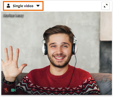 Individual video and Screen Share in the Virtual Classroom: Individual Video in Groups