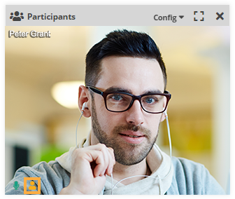 Participant Controls in the Virtual Classroom: The "Distraction" status icon can be seen in the video window of the participant