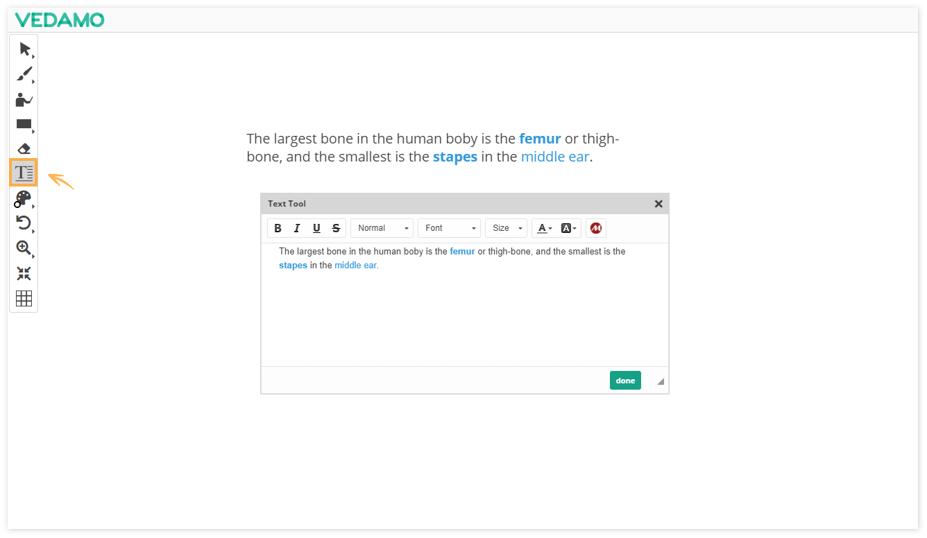 Virtual Classroom Online Whiteboard Tools: To edit an existing text click on it with the mouse to open the Text Editor