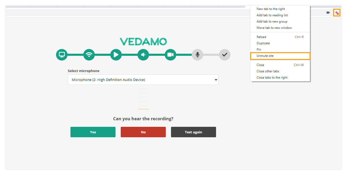 Virtual Classroom - System Check: Microphone: unmute tab Chrome browser used as an example