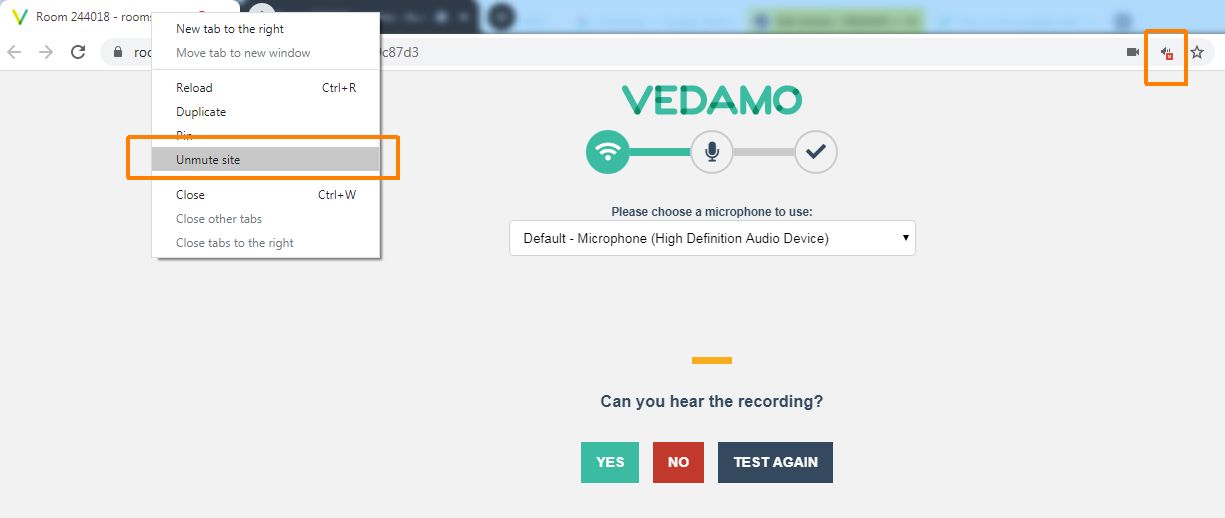 Virtual Classroom - System Check Microphone-unmute tab-Chrome