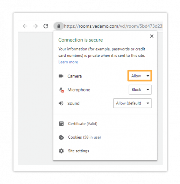 Allow your camera: Camera Denied error: Vedamo web site camera permissions