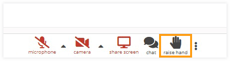 Sound issues inside the virtual classroom: The "raise hand" button is available for everyone except the host