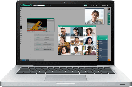 Connexion audio et vidéo - laptop