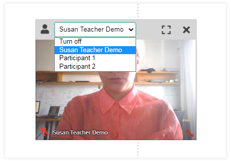 Individual video and Screen Share in the Virtual Classroom: Individual Video in Groups