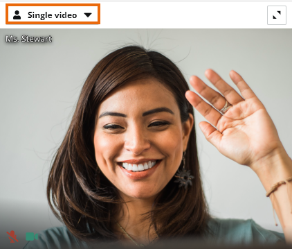 Individual video and Screen Share in the Virtual Classroom: Individual Video in Groups