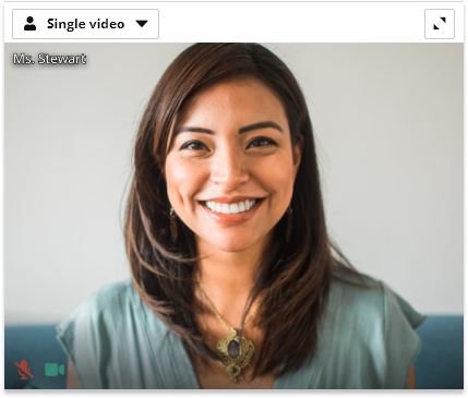Individual video and Screen Share in the Virtual Classroom: Individual Video in Groups