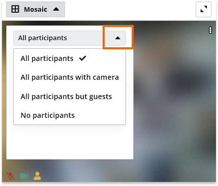 Individual video and Screen Share in the Virtual Classroom: from the classroom settings you can set the mosaic to include everyone/no-one/only those who have cameras turned on or all participants except the guest users