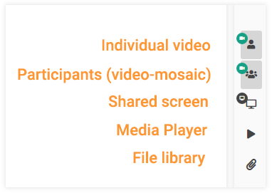Individual video and Screen Share in the Virtual Classroom: Individual video
