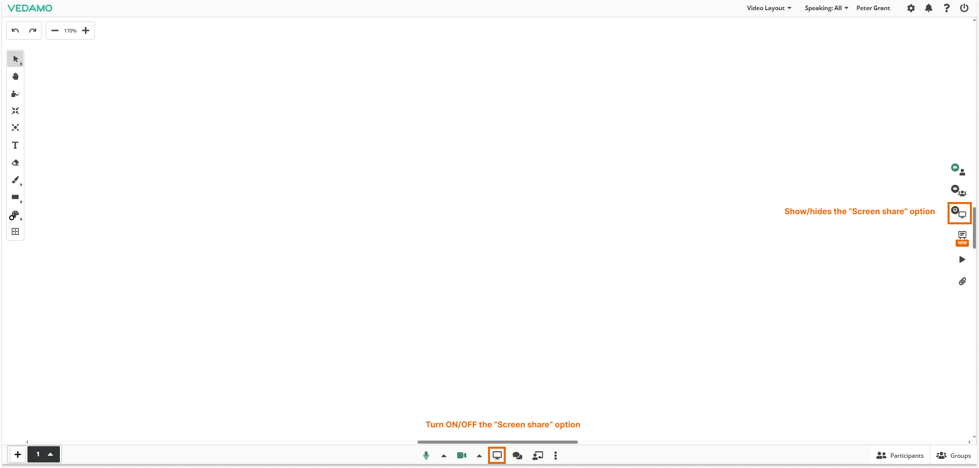 Individual video and Screen Share in the Virtual Classroom: Screen Share interface