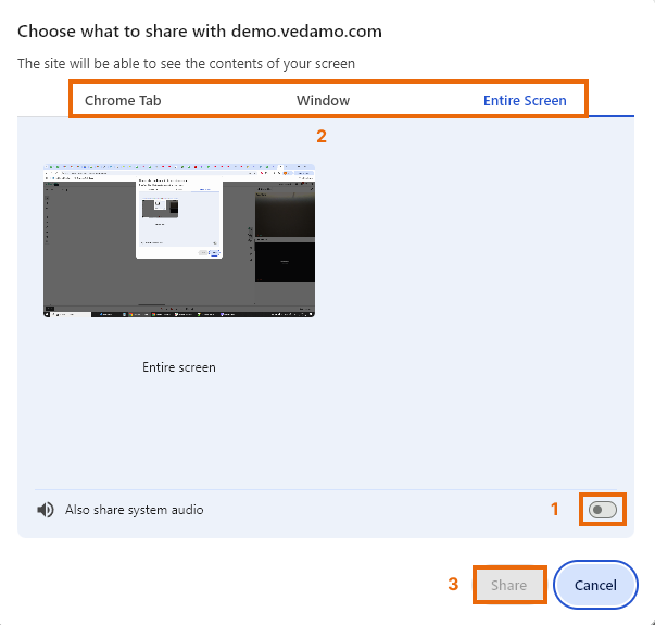 Individual video and Screen Share in the Virtual Classroom: Location of the "Share audio" button