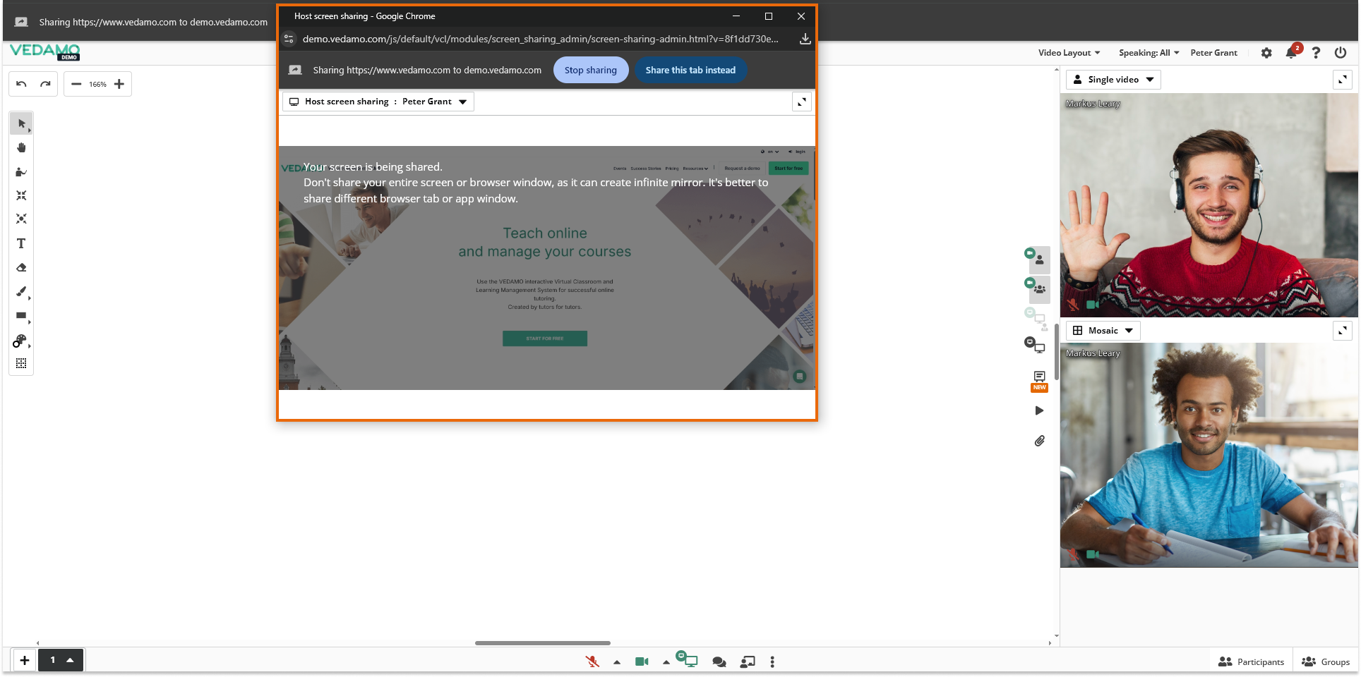 Individual Video, Video Mosaic and Screen Share in the Virtual Classroom: Example of the separate window (screenshare)
