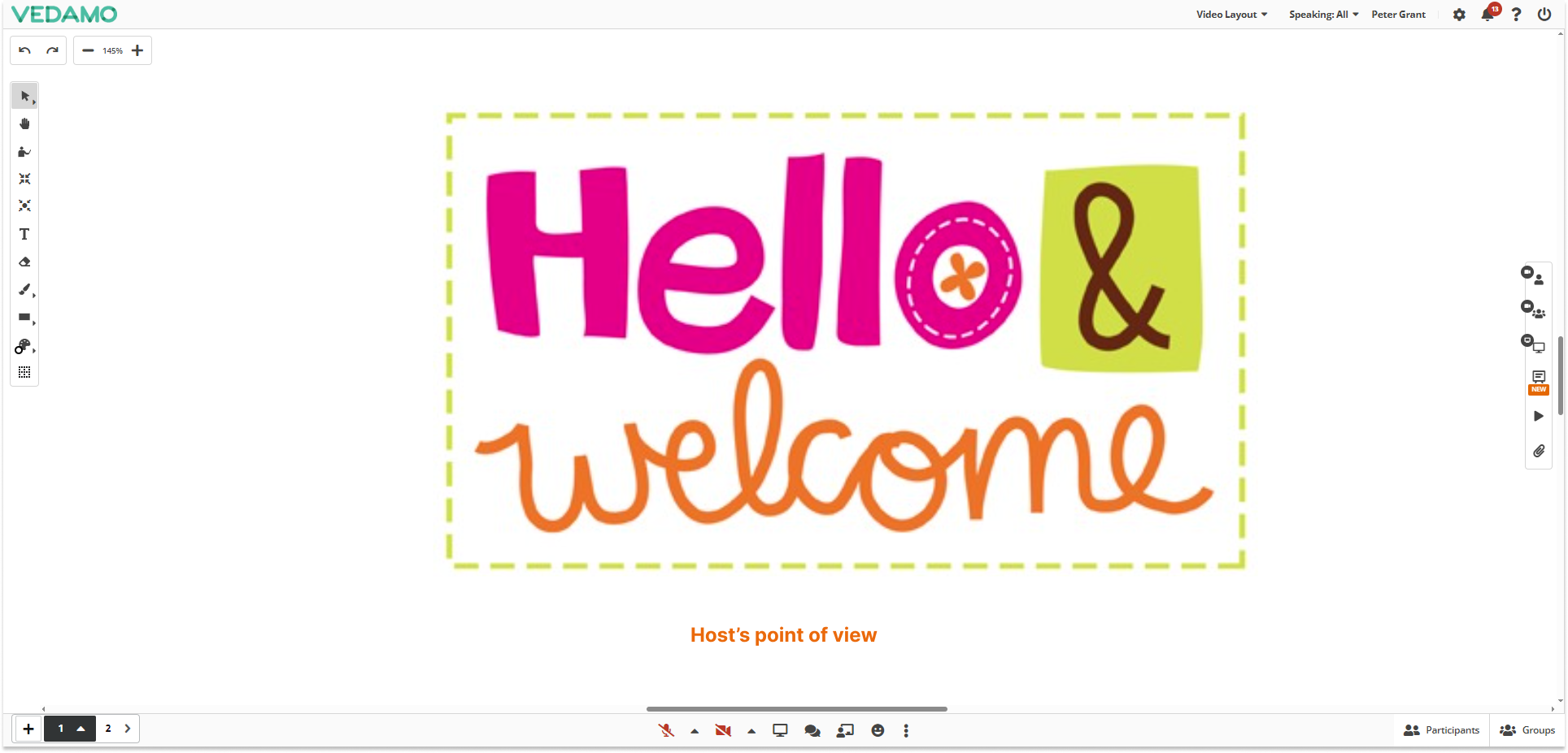 Online Whiteboard Settings: Online Whiteboard Settings: The host’s point of view.