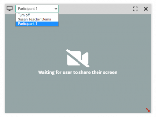 Individual video and Screen Share in the Virtual Classroom | VEDAMO