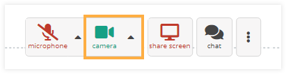 Camera Controls in the virtual classroom: Enabled Camera