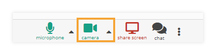 Camera Controls in the virtual classroom: Enabled Camera