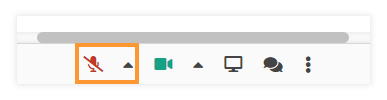Sound Controls in the virtual classroom: Disabled microphone Sound Controls in the virtual classroom: Disabled microphone