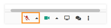 Sound Controls in the virtual classroom: Disabled microphone