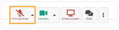 Sound Controls in the virtual classroom: Disabled microphone Sound Controls in the virtual classroom: Disabled microphone