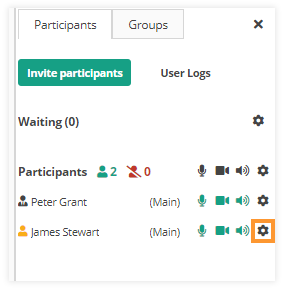 Sound Controls in the virtual classroom: Participants' Settings