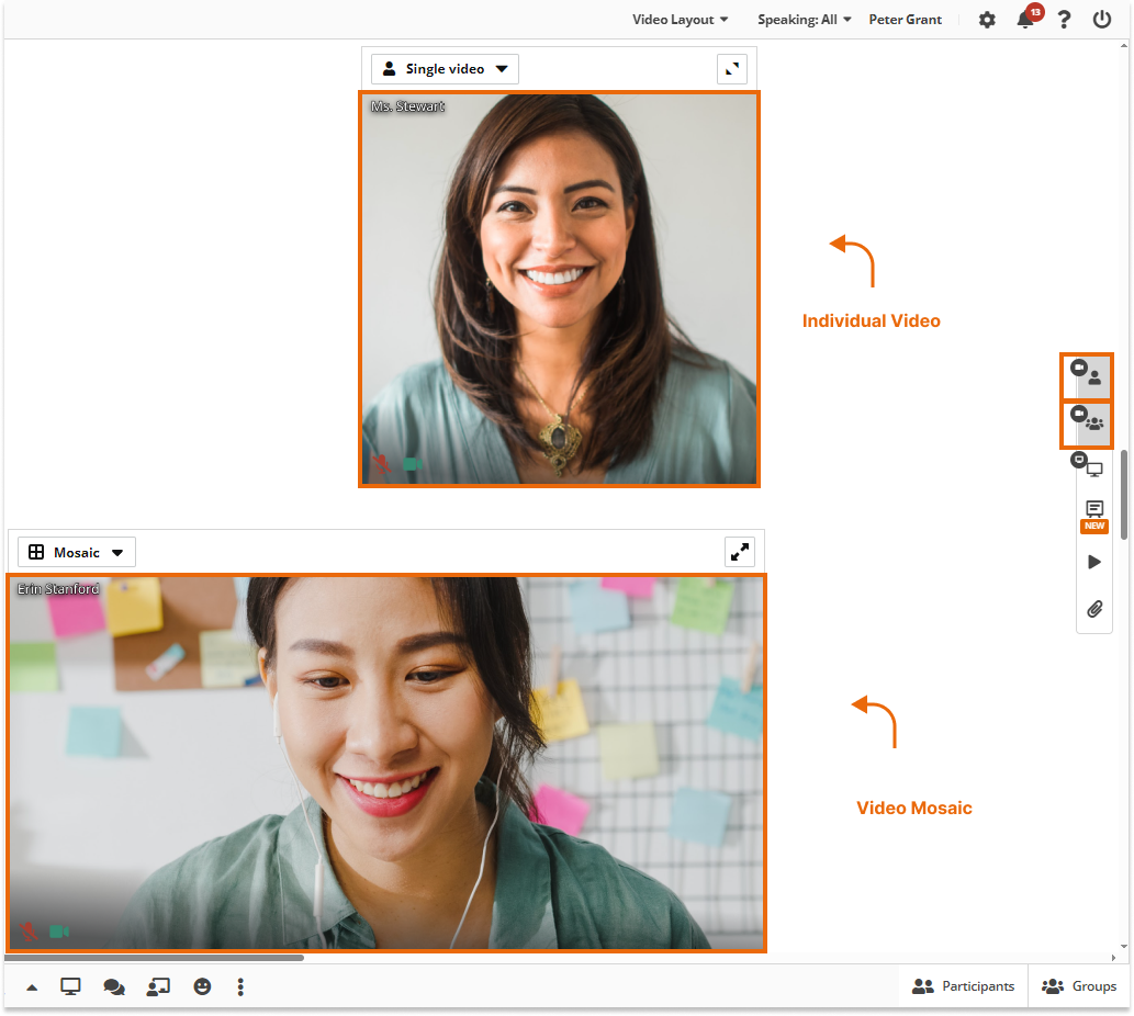 Camera Controls in the virtual classroom: Individual and Mosaic videos in the virtual classroom
