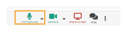 Sound Controls in the virtual classroom: Enabled microphone Sound Controls in the virtual classroom: Enabled microphone