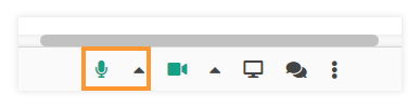 Sound Controls in the virtual classroom: Enabled microphone Sound Controls in the virtual classroom: Enabled microphone