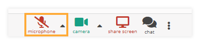 Sound Controls in the virtual classroom: Disabled microphone Sound Controls in the virtual classroom: Disabled microphone