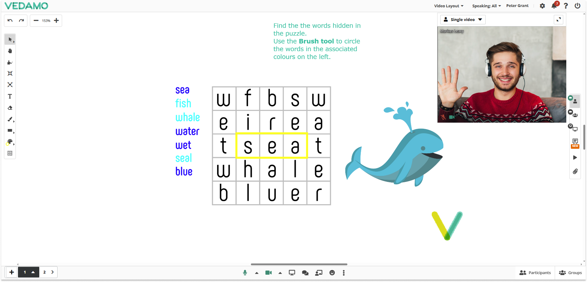 Video Boxes Settings for Participants in the Virtual classroom: Host’s point of view