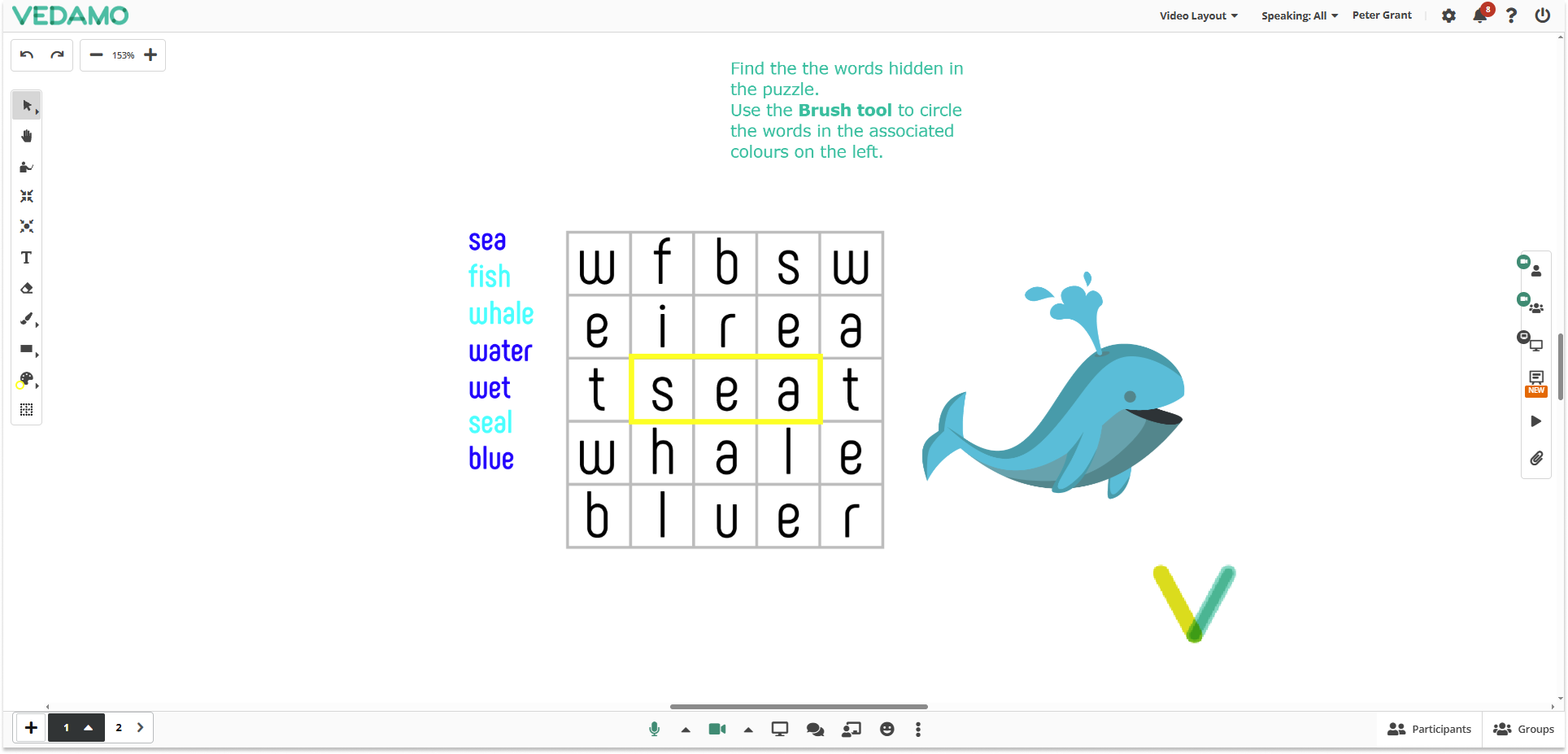 Video Boxes Settings for Participants in the Virtual classroom: Host’s point of view