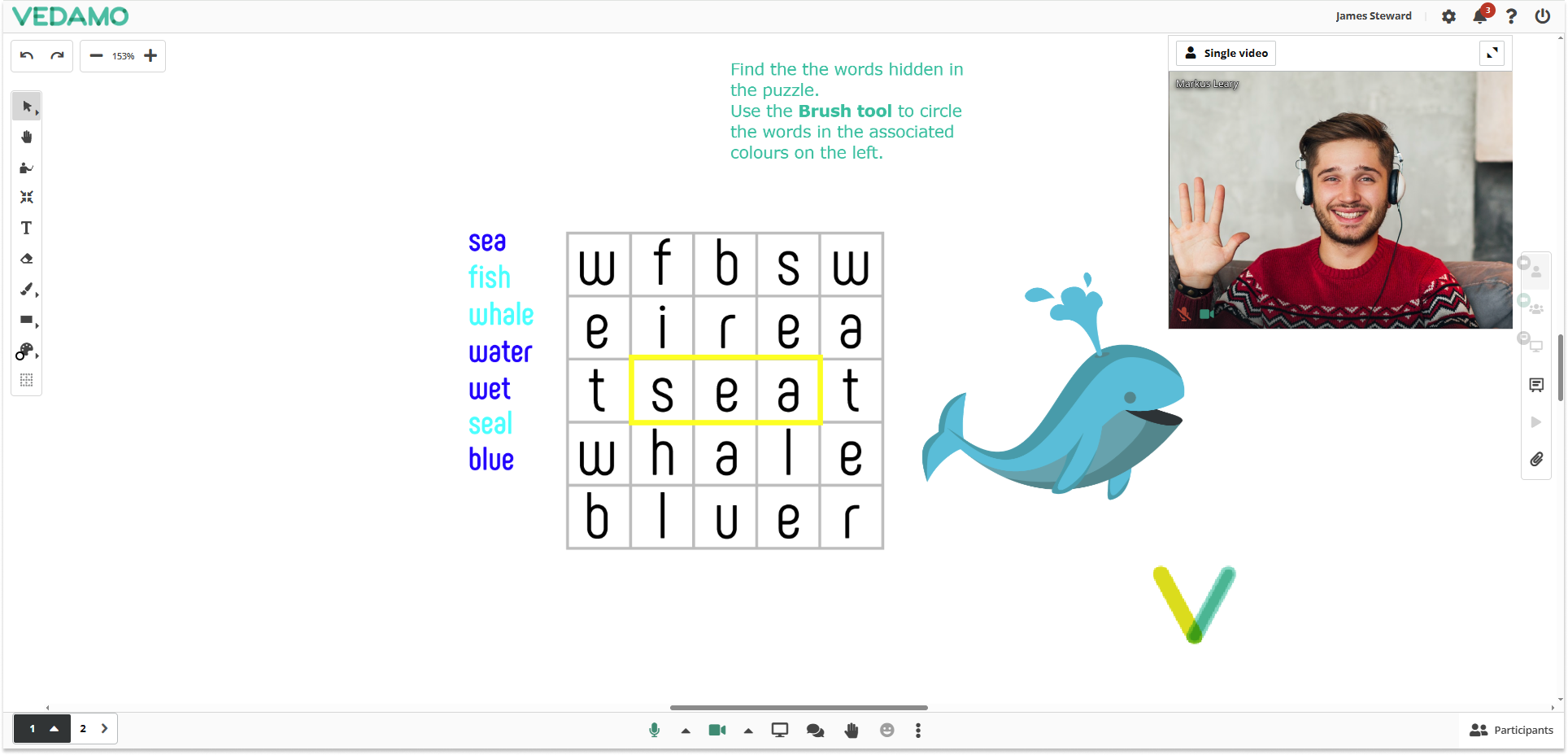 Video Boxes Settings for Participants in the Virtual classroom: Participant’s point of view