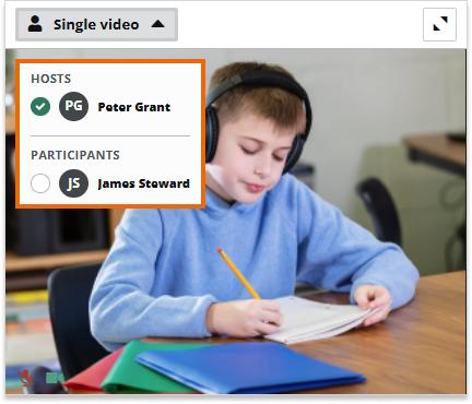 Video Boxes Settings for Participants in the Virtual classroom: Selecting a participant